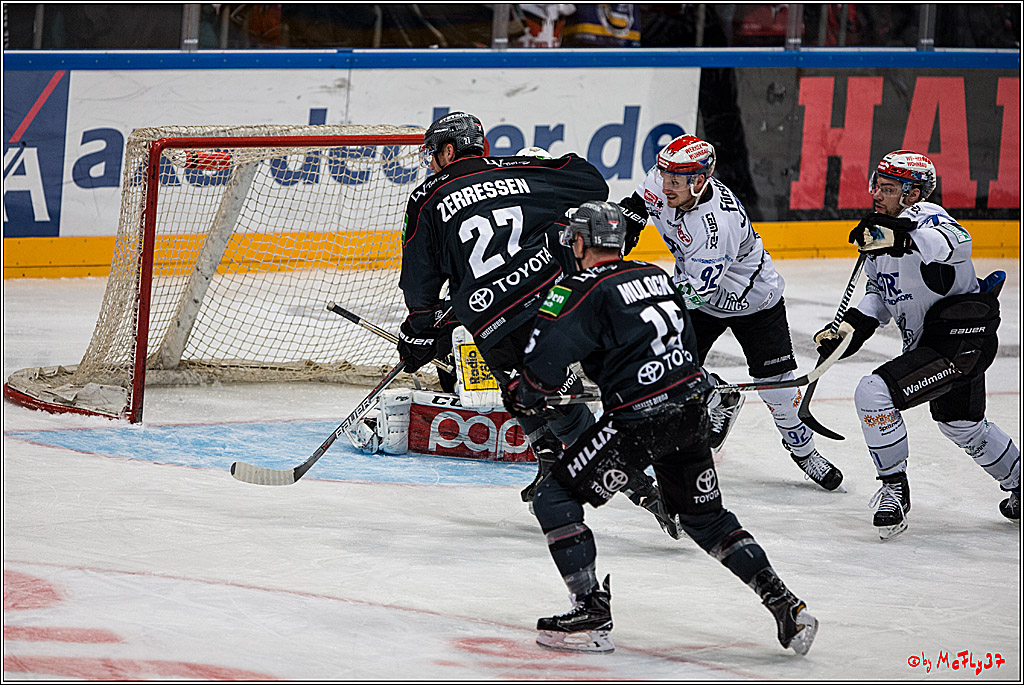 Koelner Haie - Schwenninger Wild Wings, 11.12.2016